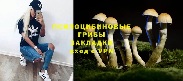 крисы Ростов